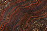 Polished Tiger Iron Stromatolite - Billion Years #129319-1